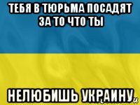 тебя в тюрьма посадят за то что ты нелюбишь украину