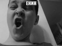енин 