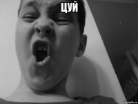 цуй 