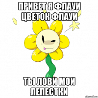 привет я флауи цветок флауи ты лови мои лепестки