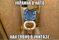 украина в нато как говно в унитазе