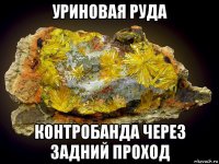уриновая руда контробанда через задний проход