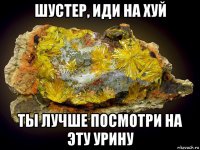шустер, иди на хуй ты лучше посмотри на эту урину