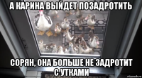 а карина выйдет позадротить сорян, она больше не задротит с утками