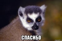  спасибо
