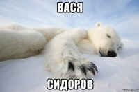 вася сидоров