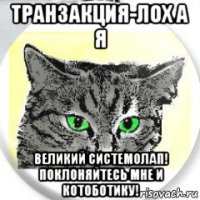 транзакция-лох а я великий системолап! поклоняйтесь мне и котоботику!