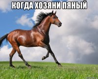 когда хозяни пяный 