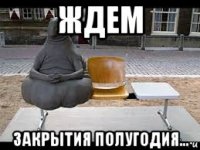 ждем закрытия полугодия...