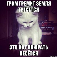 гром гремит земля тресётся это кот пожрать несётся
