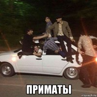  приматы