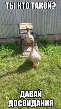 ты кто такой? давай досвидания
