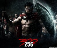  256