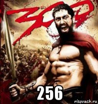  256