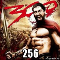  256