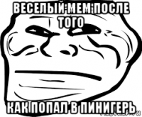 веселый мем после того как попал в пинигерь