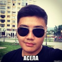  асела