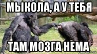 мыкола, а у тебя там мозга нема