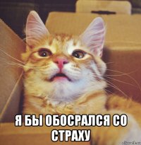  я бы обосрался со страху