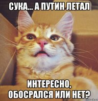 сука... а путин летал интересно, обосрался или нет?