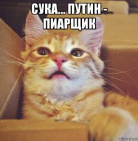 сука... путин - пиарщик 