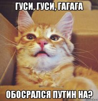 гуси, гуси, гагага обосрался путин на?