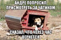 андре попросил присмотреть за чатиком сказал, что через час вернется