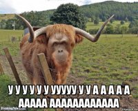  у у у у у у ууууу у у а а а а а ааааа аааааааааааа