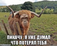  пикачу , я уже думал что потерял тебя