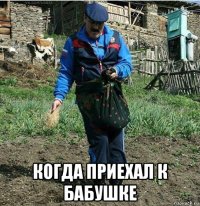  когда приехал к бабушке