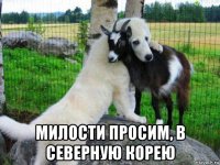  милости просим, в северную корею