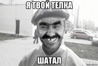 я твой телка шатал