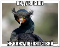 виду крышу не вижу препятствий