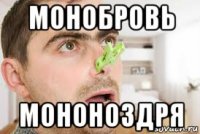монобровь мононоздря