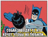  собак заводят те, кто хочет, чтобы их любили...