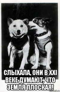  слыхала, они в xxi веке думают, что земля плоская!