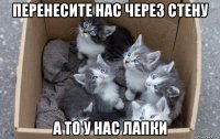 перенесите нас через стену а то у нас лапки