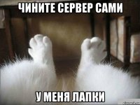 чините сервер сами у меня лапки