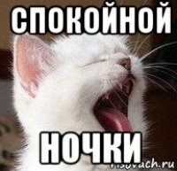 спокойной ночки