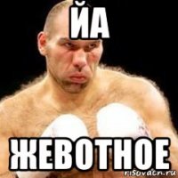 йа жевотное