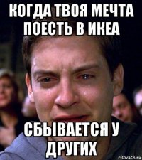 когда твоя мечта поесть в икеа сбывается у других