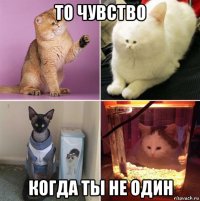 то чувство когда ты не один