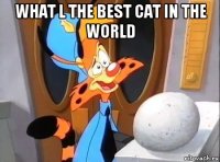 what l the best cat in the world 