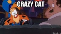 crazy cat 