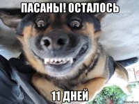 пасаны! осталось 11 дней