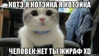 котэ:я котэйка я котэйка человек:нет ты жираф xd