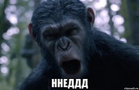  ннеддд