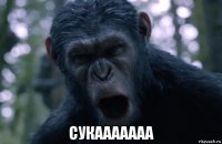  сукааааааа