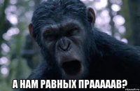  а нам равных прааааав?