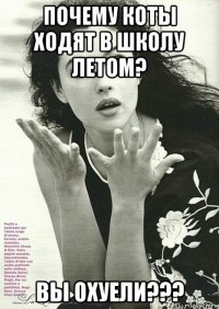 почему коты ходят в школу летом? вы охуели???